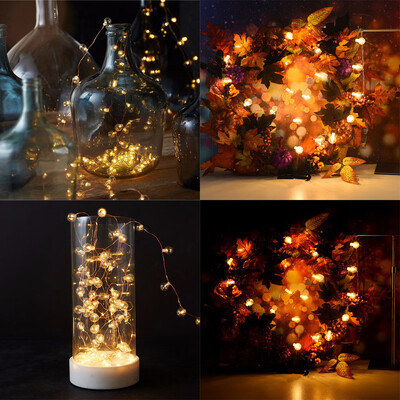 

Tailored Led Copper Wire Lamp String Ball Bulb Lamp String Outdoor Decorative Lamp