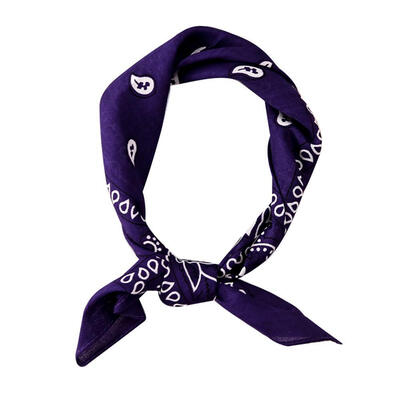 

Hip Hop Unisex Women Men Shawl Cashew Flower Print Square Scarf Hair Band