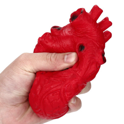 

〖Follure〗Novelty Silicone Stress Ball Scary Organ Heart Squeeze Toy Stress Reliever Toy