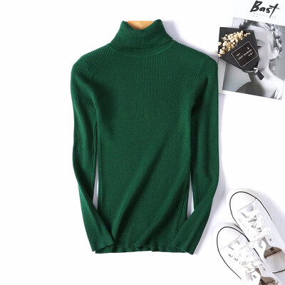 

Thick Turtleneck Warm Women Sweater Autumn Winter Knitted Femme Pull High Elasticity Soft Female Pullovers Sweater