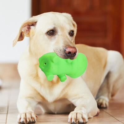

Greensen 4Pcsset Latex Sound Toy Pet Dog Puppy Chew Teeth Clean Playing Interactive Toys
