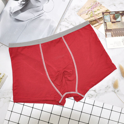 

1 Pcs Mens Underpants Underwear Sexy Boxer Briefs Male Casual Pouch Underpants