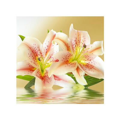 

5D DIY Diamond Painting Pure Flowers Cross Stitch Embroidery Mosaic Kits