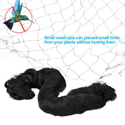 

50 100ft Anti Bird Netting Heavy Duty Nylon Netting Garden Plant Fruits Fencing Mesh