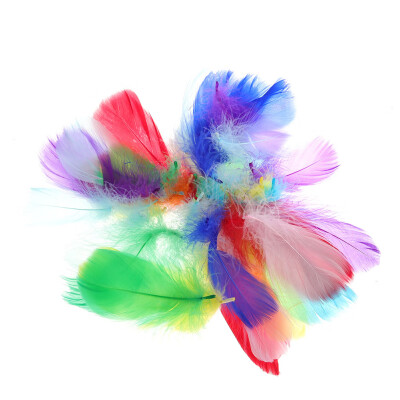 

100Pcs Multi-Function Colorful Feathers Decorative Diy Bridal Wedding Crafts