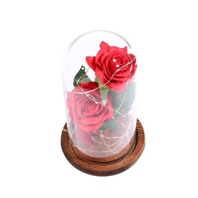 

Stimulation 2Pcs Rose Flowers LED String Light with Glass Cover Party Wedding Decor Birthday Anniversary Gift