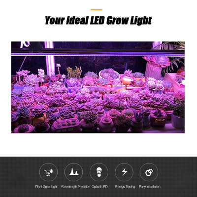 

5-Pack LED Grow Light Strips 5W T5 Tube LED for Plants High Output Integrated Fixture Extendable 24 Inches Grow Lights for Greenho