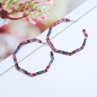 

Fashion Acrylic Earrings Irregular Tortoise Shell Earrings Resin Hoop Earrings