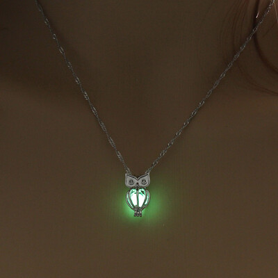 

1PC New Skull Glow In The Dark Chaming Luminous Horse Heart Owl Charm Women Jewelry Fashion Pendant Necklace