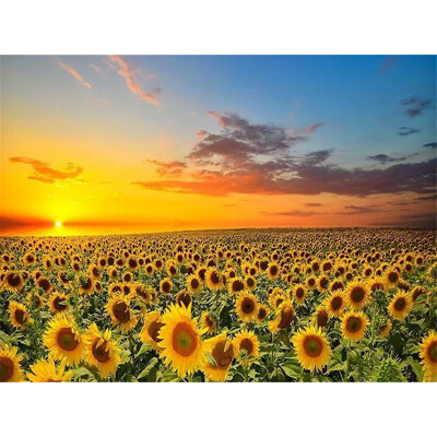 

5D Diamond Embroidery Sunflower Diy Diamond Painting Mosaic Flower Cross Stitch Kit Full Square Drill Home Decoration