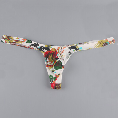 

Mens Underwear Sexy Underpants Lingerie Printed Briefs Panties Low Rise Thongs