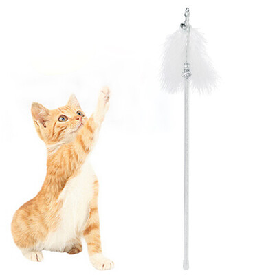 

Gobestart Kitten Cat Toy Interactive Toy Soft Ball And Cat Feather And Bell Toy