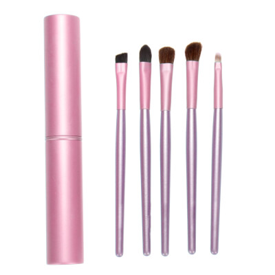 

5pcs Eye Shadow Makeup Brush Set Eyes Make Up Eyebrow Cosmetic Brushes