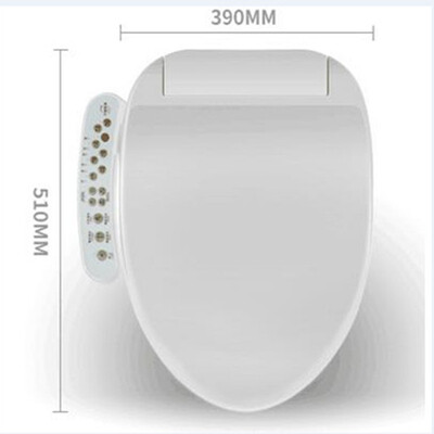 

Smart Heated Toilet Seat Instant Hot WC Sitz Intelligent Automatic Toilet Lid Cover Electric Bidet Cover Female Washing AC220V