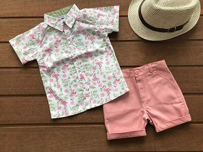 

2PCS Toddler Kids Baby Boy Gentleman Shirt TopsPants Shorts Clothes Outfits Set