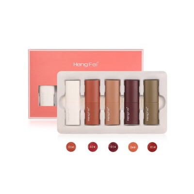 

5 Colors Matte Lipstick Set Waterproof Long Lasting Lip Gloss Nude Velvet Pigment Women Lip Makeup