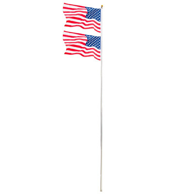 

Outdoor 20ft Aluminum Sectional Flagpole Kit Halyard Pole 2PC US American FlagGarden