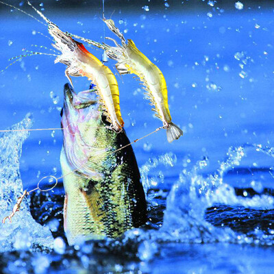 

Saidsome 2pc fishing tackle soft bait light lead fishing artificial bait jig wobbler fishing bait fishing lure