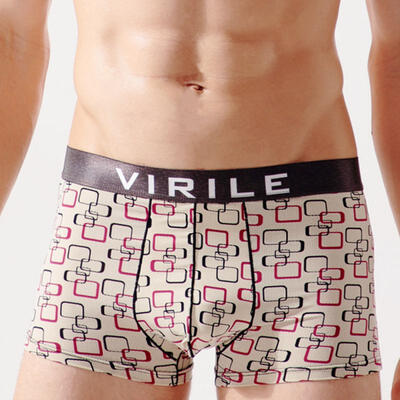 

Mens Ice Silk Boxers Stylish Print Boxer Briefs With Pouch