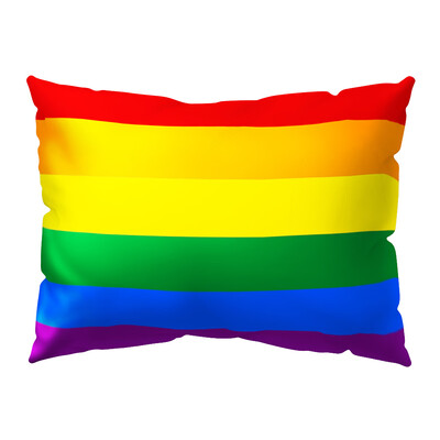 

Double Sided Colorful Stripes Rainbow Flag Cotton Velvet Throw Pillow Zipper Pillowcase for Decorative Pillows