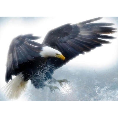 

5D DIY Full Drill Diamond Painting Flying Eagle Cross Stitch Embroidery Kit