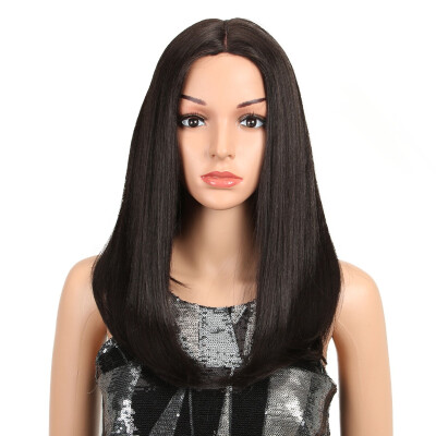 

Noble Ombre Color Straight Hair 18"Inch Lace Front Wig For Black Women African American Wigs Synthetic Heat Resistant Hair