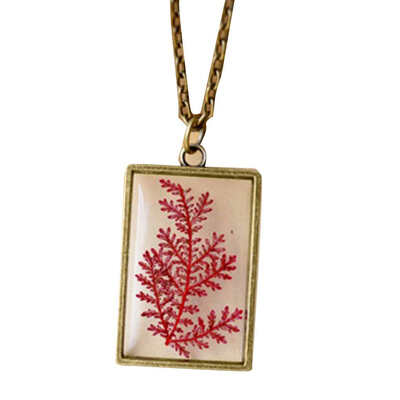 

Women Girls Natural Plants Specimen Necklace Retro Art Pressed Flowers Metal Necklace