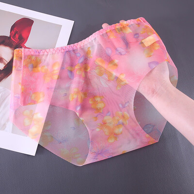 

Womens Sheer Mesh Briefs Panties Transparent Sexy Underpants Underwear Knickers