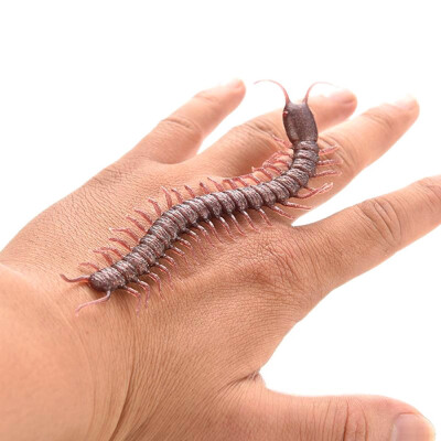 

Centipede Style Insect Joke Toy Scary Trick Bug for Party - 1pc set