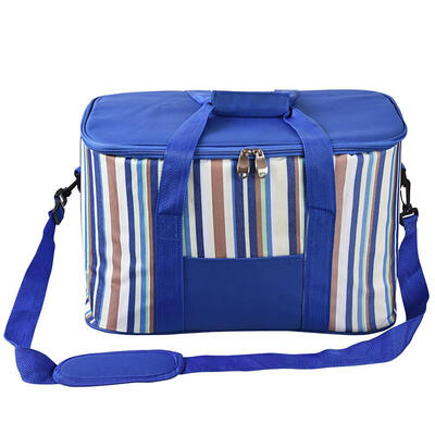 

35L Insulated Ice Bag Lunch Cooler Bags for Outdoor Picnic Fruit Fresh Pack