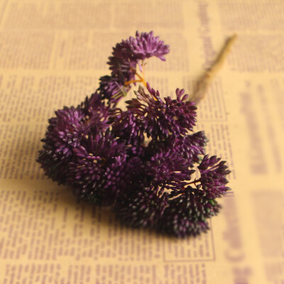 

Supplies Artificial Plants Mini Rice Fruit Fake Flower Succulent Home Decor