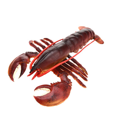 

Tailored Simulation Model Of LobsterKids Early Education Play ToyKitchen Decoration