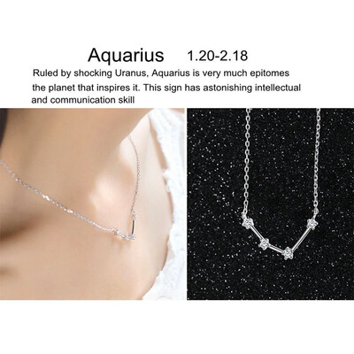 

Shiny Rhinestone Women Horoscope Astrology Constellation Sign Guardian Necklace