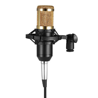 

BM800 Wired Condenser Microphone Studio Sound Professional Recording Device Live Broadcasting Mic with Shock Mount Sponge Protecto