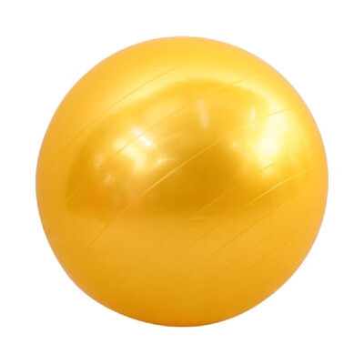 

65cm Fitness Exercise Gym Fit Yoga Core Ball Multi-use Indoor Fitness Training Yoga Ball
