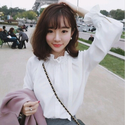 

Roseonmyhand Women Ladies With Long Sleeves Court Style Sweet Lace Blouse