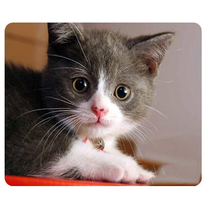 

CAT-9 Mouse Pad Cute Cat Picture Anti-Slip Gaming Mouse Mat for PC Computer Laptop MackBook