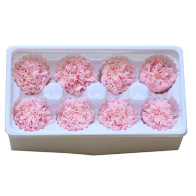

Handmade Preserved Fresh Flowers Gift Pack Immortal Flower Eternal Carnation Heads for Gift