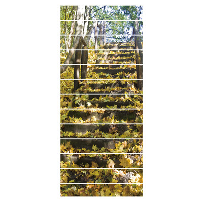 

13pcs Fall Forest Pattern Floor Pasters DIY PVC Waterproof Stairs Stickers Floor Step Landscape Background Wallpaper