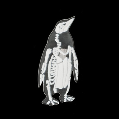 

1Pc Creative Transparent Acrylic Skeleton Brooches Pins Mouse Rabbit Penguin Bird Pig Cat Brooch