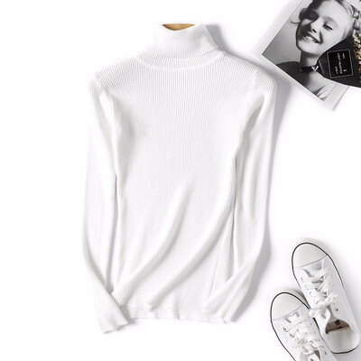 

Thick Turtleneck Warm Women Sweater Autumn Winter Knitted Femme Pull High Elasticity Soft Female Pullovers Sweater