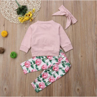 

Newborn Baby Girl Cotton Outfits Clothes T-shirt Tops Pants Leggings 3pcs Set