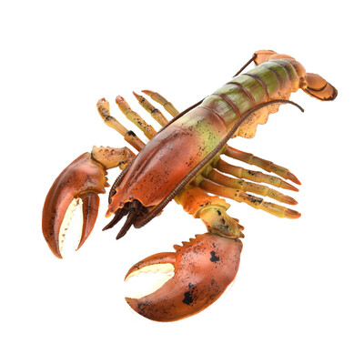 

Tailored Simulation Model Of LobsterKids Early Education Play ToyKitchen Decoration