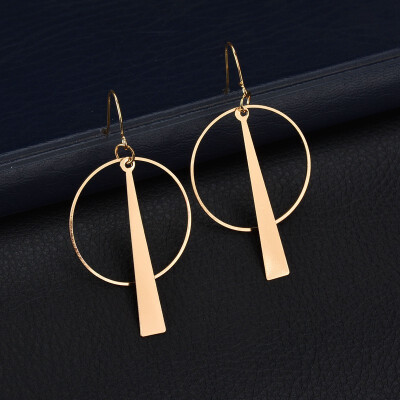 

2019 latest design brand creative geometric circle earrings wild long earrings for women