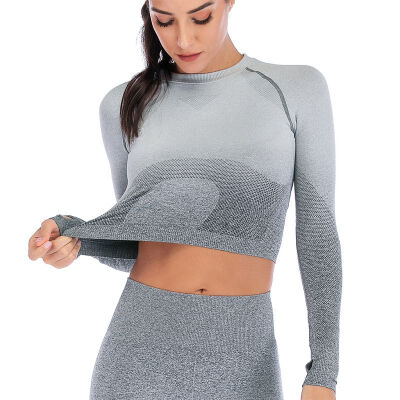 

Women Breathable Fitness Tops Seamless Long Sleeve Crop Tops Quick Drying Workout Shirts for Women