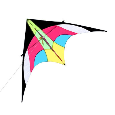 

Colorful Huge Delta Kite Outdoor Sport Single Line Flying Kite with 30m Flying Line for Kids Adults