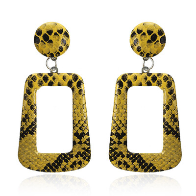 

New Fashion Big Round Geometric Drop Earrings for Women Punk Vintage Statement Earrings Snake Skin Party Jewelry Gift
