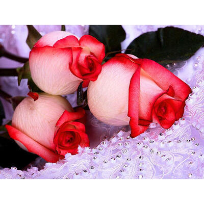 

5D DIY Full Drill Diamond Painting Roses Cross Stitch Embroidery Mosaic Kit