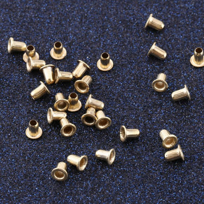 

Greensen 1000pcs Beehive Nest Box Frame End Threading Hole Eyelets Beekeeping Tools