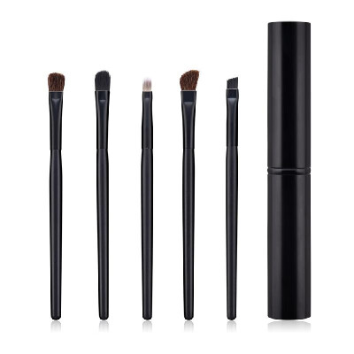 

5pcs Eye Makeup Brushes Set Nylon Fiber Hair Eyeshadow Blending Powder Brushes with Case for Shading Blending Eyebrow Eyeshadow